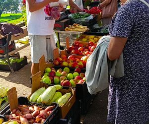 50. edycja kiermaszu Pamiętajcie o ogrodach
