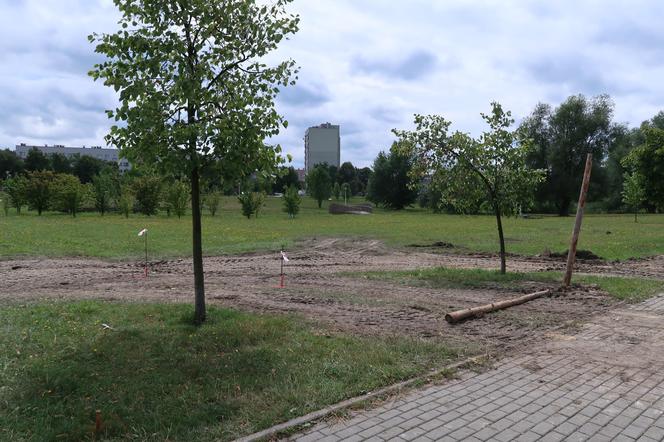 Park Jaworek w Tychach zamienił się w wielki plac budowy [ZDJĘCIA]