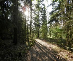 Magiczne krajobrazy. Kruszyniany to kraina jak z baśni