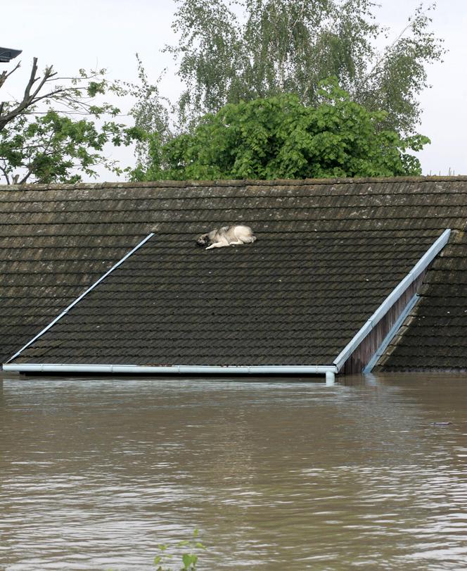 	Powódź, podkarpacie - powiat tarnobrzeski, Sokolniki, Trześń