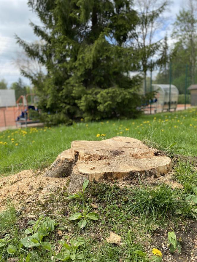 Miesiąc po wichurze, odwiedziliśmy miejsce tragedii w Rabce-Zdroju. Oto, co zobaczyliśmy