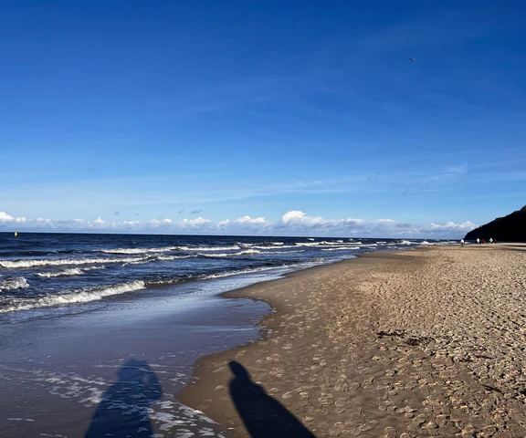 Martwy wieloryb na brzegu. Plaża zamknięta!