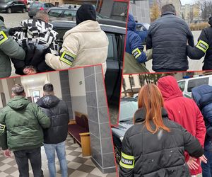 Tyle osób oszukali metodą na policjanta! Straty szły w miliony. Używali takiego fortelu