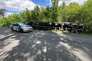 Manewr zakończony w rowie. Przewrócona ciężarówka w Siedlcu niedaleko Gostynia [ZDJĘCIA]