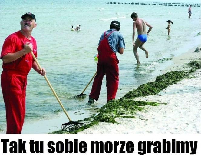 Wakacje rozpoczęte! Polacy ruszyli na plaże! Zobacz najlepsze MEMY!