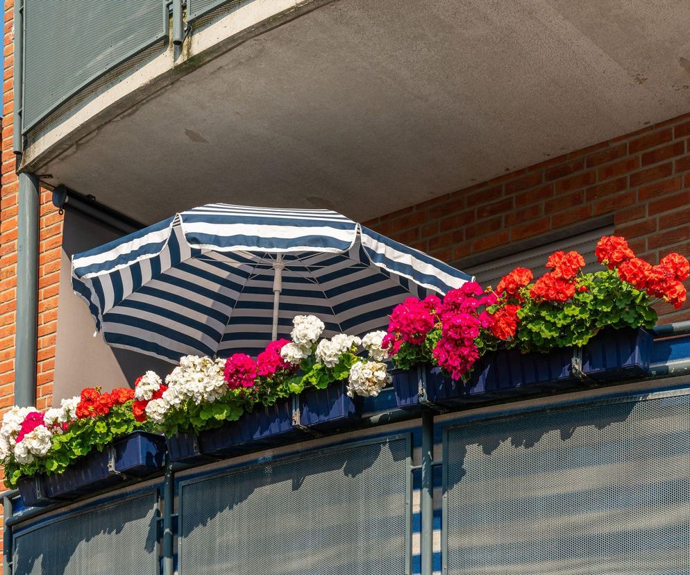 Leżak i parasol - tyle wystarczy, by balkon stał się plażą w mieście