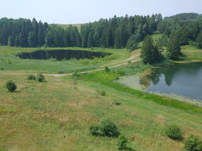   Wieża widokowa w Stańczykach. Zobacz zdjęcia