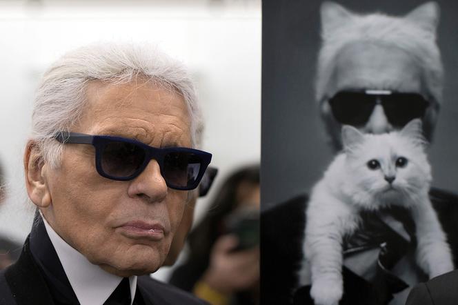 Karl Lagerfeld i jego kot, Choupette