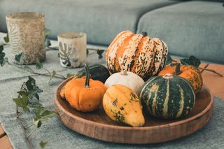 Jesienna kompozycja z dyniami