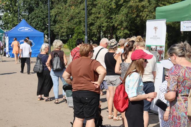 Dożynki miejskie i Święto Chleba w Poznaniu