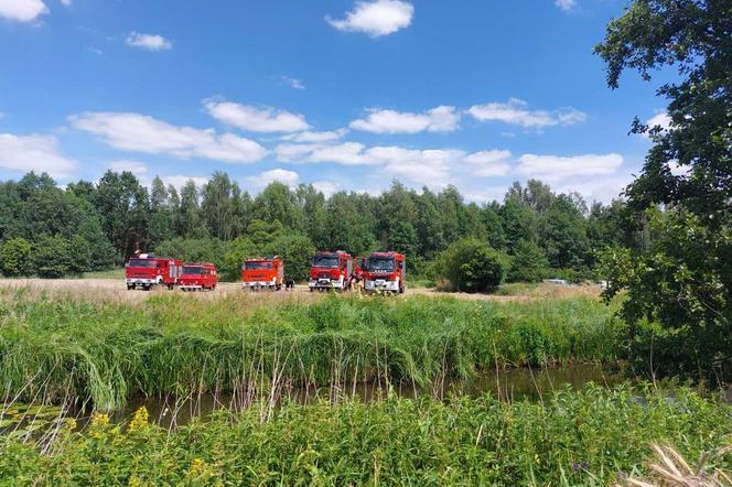 Tragiczny finał poszukiwań 71-latki spod Kępna. Jej ciało leżało nad rzeką [ZDJĘCIA]
