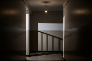 Bestialskie traktowanie psa w Świętochłowicach. Co skłoniło 22-latka do tak okrutnego czynu?