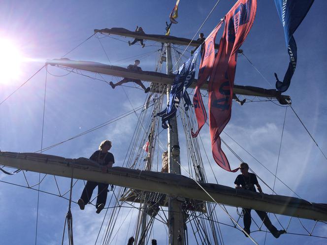 The Tall Ship Race/Parada rejowa na mecie we Fredrikstad