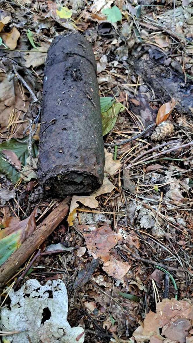 Pociski i granaty zamiast grzybów. Saperzy interweniowali podczas grzybobrania