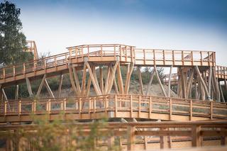 Kurza Góra - wieża widokowa