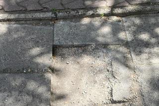 Wrocław. Chodniki rozwalone, że można połamać nogi. „Dziury na drogach lepią mieszkańcy”