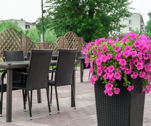Rośliny w wysokich donicach