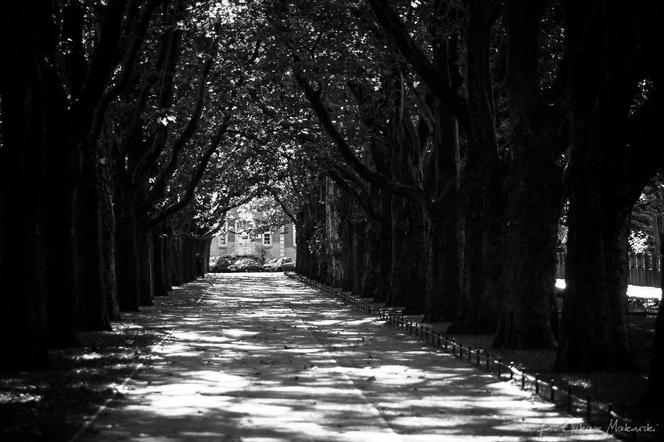 Klimatyczny Szczecin na czarno-białej fotografii. Te zdjęcia robią niesamowite wrażenie! [GALERIA]