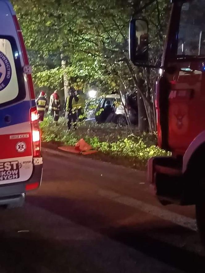 Tragiczny wypadek na drodze Dębno – Ferdynandowo