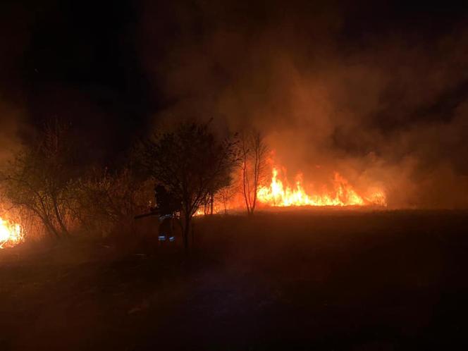 INFERNO w Żabnie! Sześć jednostek straży pożarnej walczyło z płomieniami