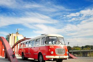 Dodatkowe linie autobusowe w Poznaniu! To JEDNORAZOWA akcja 