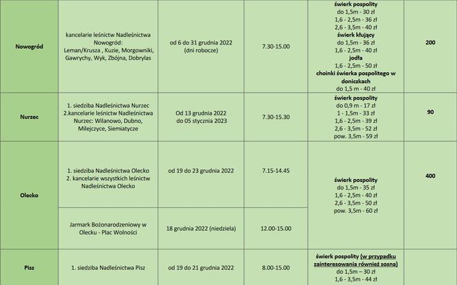 Tanie choinki od leśników w Białymstoku [CENNIK]