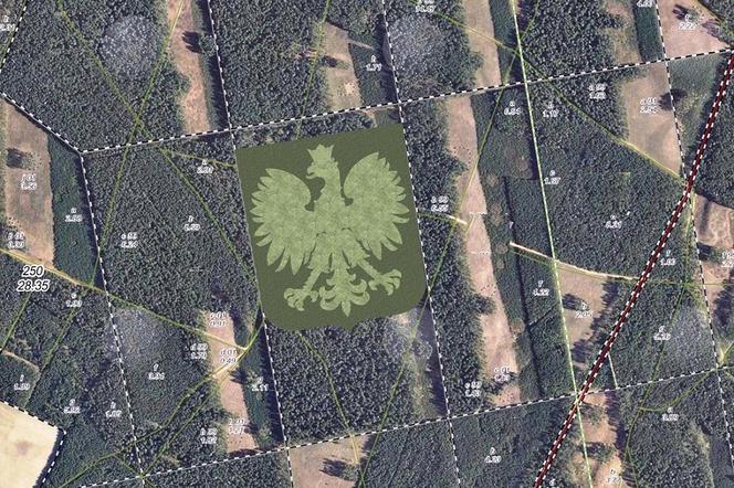 Nadleśnictwo Lipusz