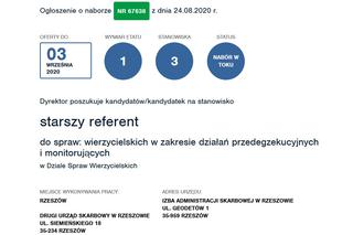 Praca w urzędzie w Rzeszowie. Ile można zarobić? Sprawdź oferty!