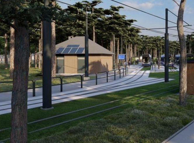 Będzie nowa pętla tramwajowa w Lesie Gdańskim. Miasto obiecuje zielone torowiska i rośliny na przystankach 