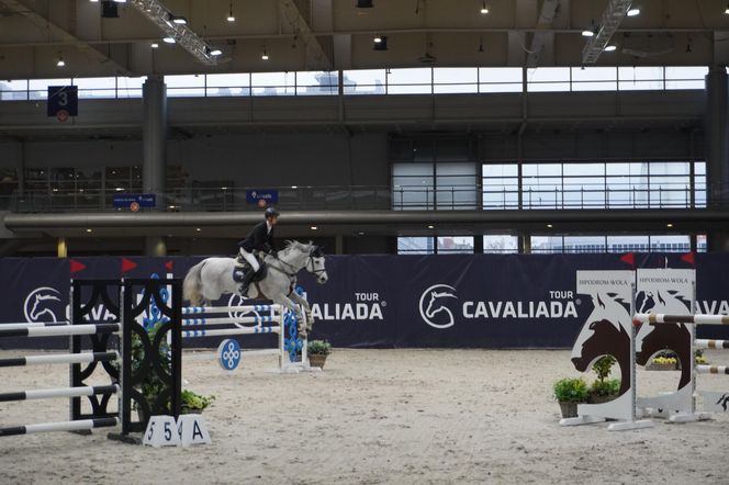 Cavaliada 2024. Pierwszy dzień rywalizacji w Poznaniu