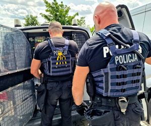 Zabił kobietę, wyprowadzał jej psa