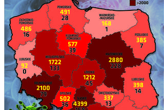 Koronawirus: Zobacz wykresy i prognozy – stan na 13.05.2020, godz. 17.30