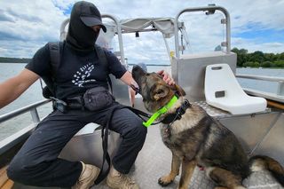 Szkolenie psów policyjnych nad Zalewem Zemborzyckim