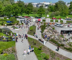 Ogród Botaniczny w Kielcach oblężony! Rajski klimat i tłumy turystów 