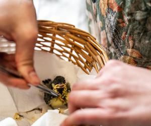 Nowość w autach poznańskiej Straży Miejskiej! To w trosce o najmniejsze zwierzaki 