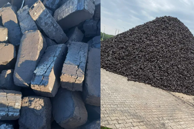 Brykiet torfowy zamiast węgla? To kolejny pomysł Polaków na radzenie sobie z kryzysem energetycznym. Gdzie kupić brykiet torfowy i ile kosztuje?