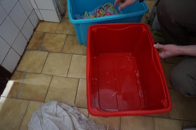 Pracownicy KTOZ podzielili się w sieci szokującymi zdjęciami