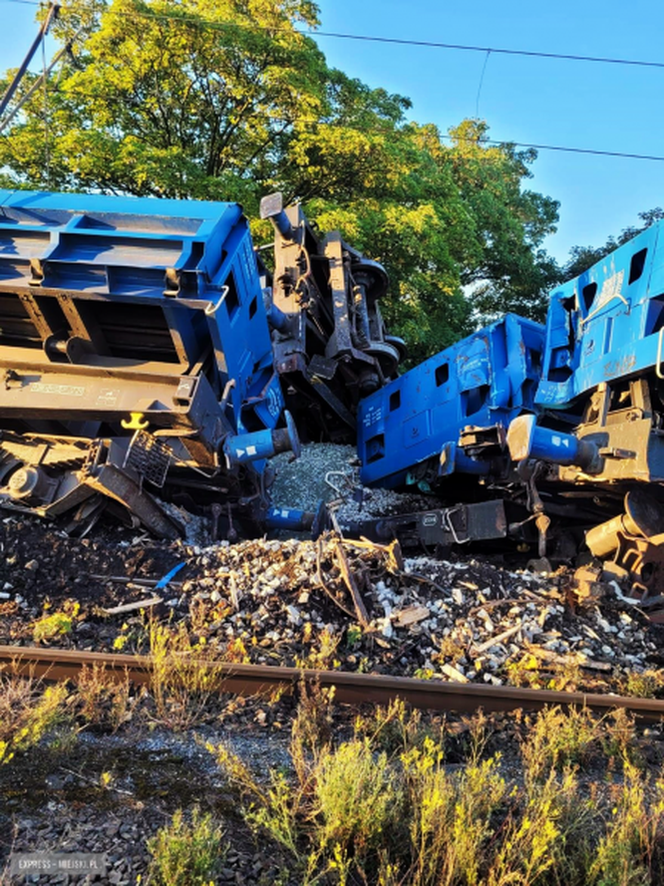 Wykoleiło się sześć wagonów pociągu towarowego   