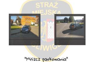 Miszczowie parkowania w Gliwicach 