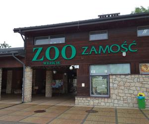  Z nauką wśród zwierząt. Zoo w Zamościu zaprasza na ciekawe zajęcia