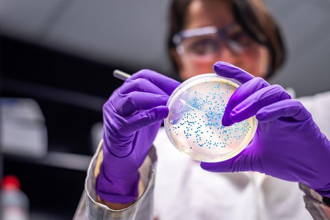 Alarm epidemiologiczny u naszych sąsiadów. Czy zagrożenie może dotrzeć do Polski?