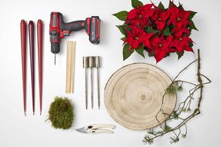 Wieniec adwentowy z poinsecjami