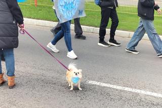 Niebieski Marsz w Łomży