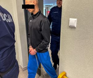 Zaufanie, które zabiło. Sebastiana zakopali w lesie, bo chciał chronić dziecko