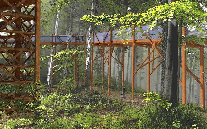 Leśny Ogród Botaniczny w Gdyni