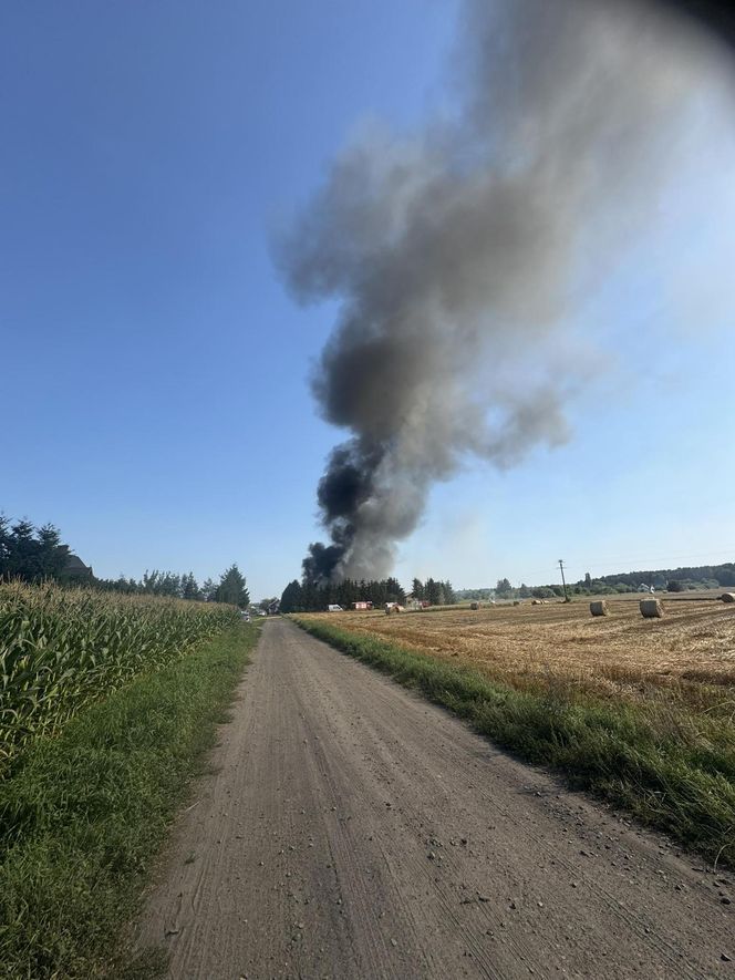 Pożar pod Ciechocinkiem