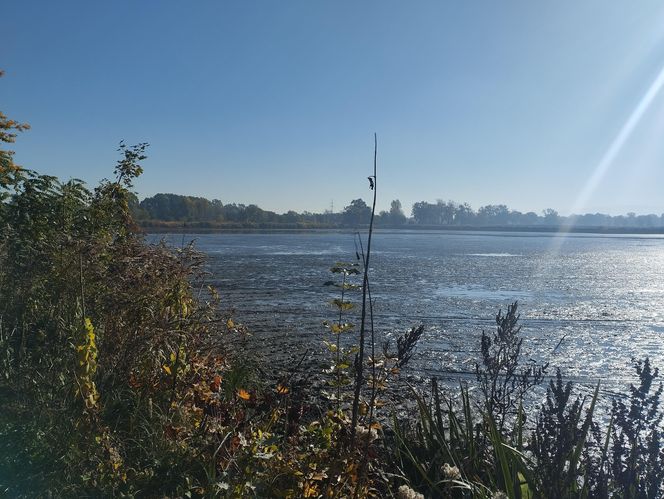 Zaginięcie Karoliny Wróbel. Wypompowano wodę ze zbiornika, a służby przeczesują dno