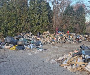 Duże zmiany Nowej Hucie. Trwa wielkie sprzątanie po latach zaniedbań 