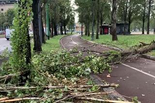Włochy. Śmiertelna ofiara burz na północy, kilku rannych
