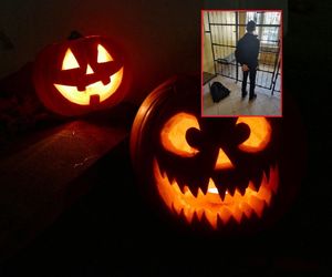 Żart na Halloween skończył się w sądzie. Uczniowie w poważnych tarapatach